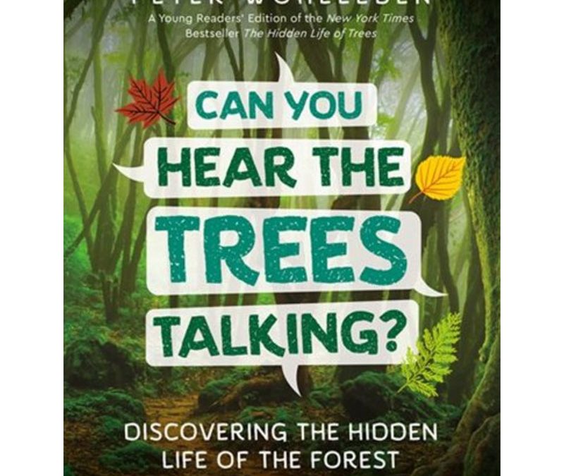 Can You Hear the Trees Talking?