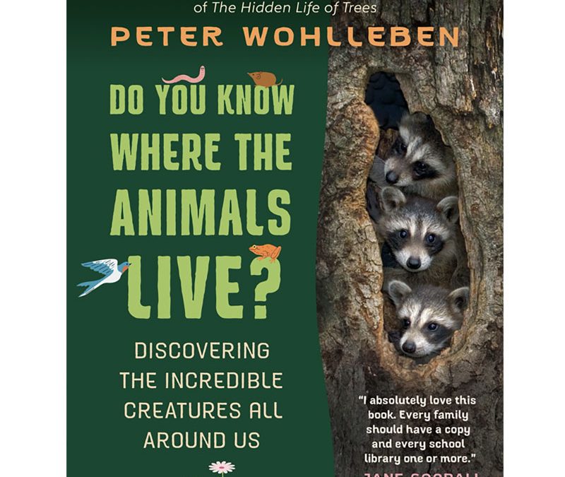 Do You Know Where the Animals Live?