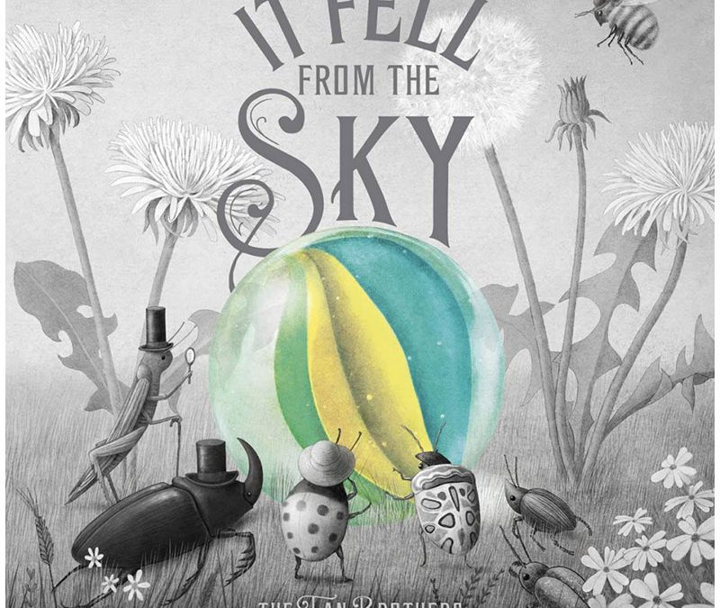 It Fell from the Sky