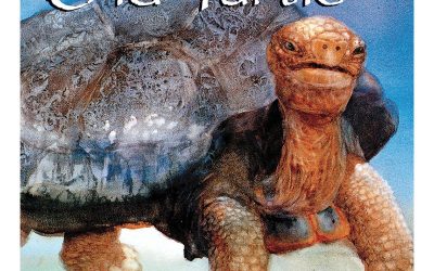 Old Turtle
