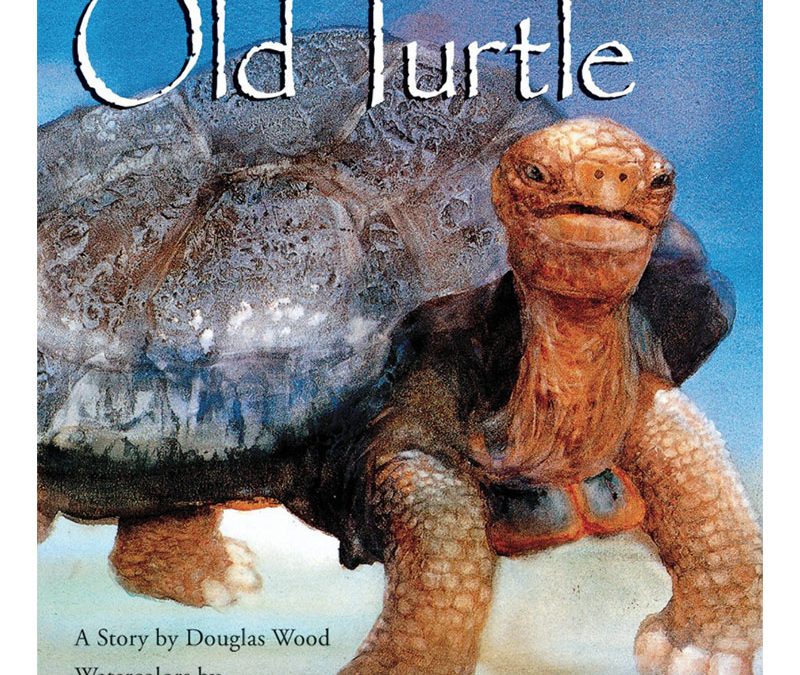 Old Turtle