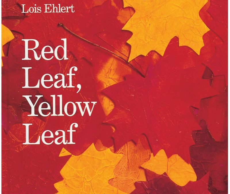 Red Leaf, Yellow Leaf