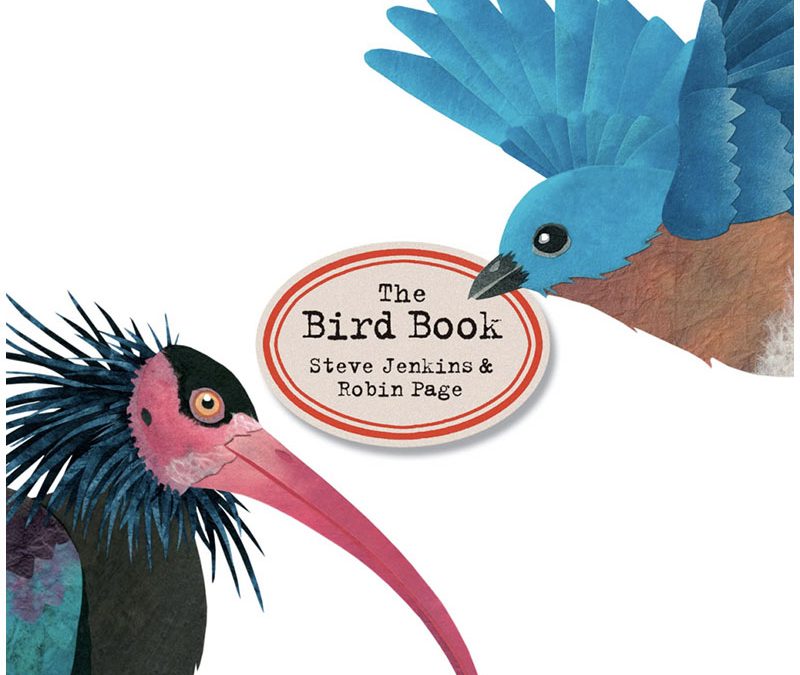 The Bird Book