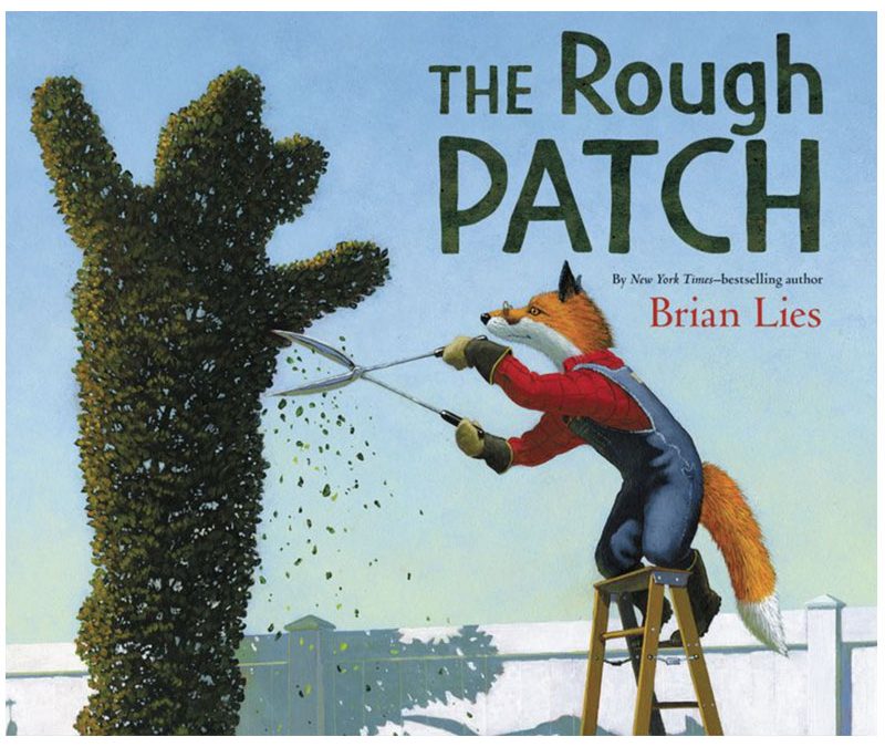 The Rough Patch