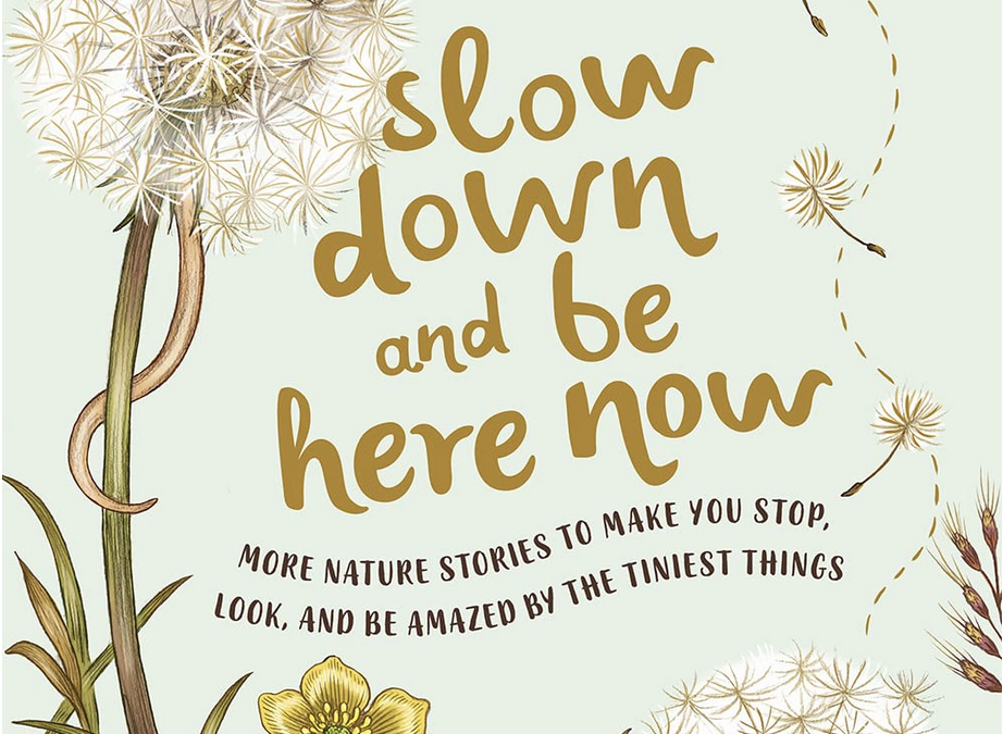 Slow Down and Be Here Now