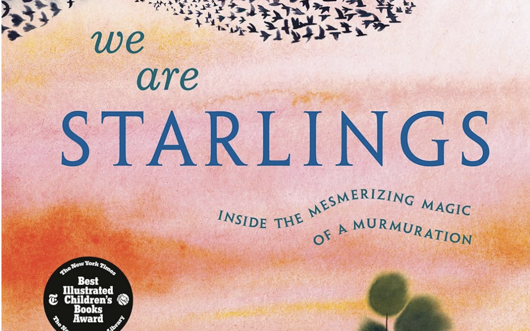 We Are Starlings: Inside the Mesmerizing Magic of a Murmuration